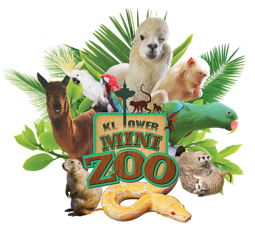 KL-Tower-Mini-Zoo